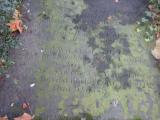 image of grave number 676907